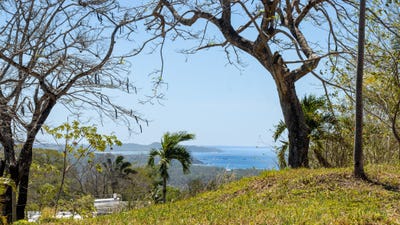 /international/cr/28c3-7q8-guanacaste-province-black-beauty-costa-rica-black-beauty-guanacaste-province-310105759854/