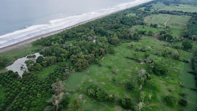 /international/cr/beachfront-finca-spans-over-91-acres-quepos-puntarenas-310098385745/