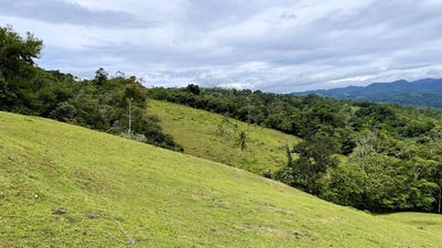 /international/cr/bajo-rodriguez-san-carlos-alajuela-san-carlos-alajuela-province-120092601151/