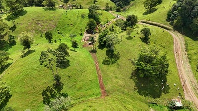 /international/cr/el-roble-de-la-virgen-sarapiqui-heredia-sarapiqui-heredia-province-310103619230/