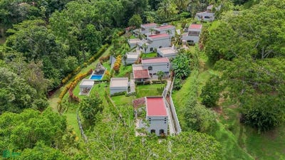 /international/cr/calle-condominios-60501-puerto-cortes-osa-puntarenas-osa-puntarenas-310101083975/?lang=it