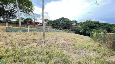 /international/cr/calle-san-isidro-san-isidro-alajuela-province-310107621247/