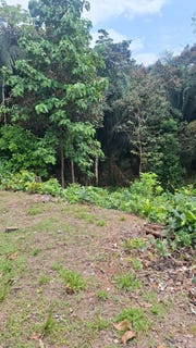 /international/cr/lot-209-costa-esterillos-estates-esterillos-puntarenas-esterillos-puntarenas-310101176268/?lang=zh-cn