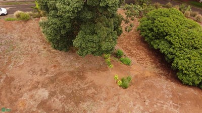 /international/cr/el-rosario-el-rosario-alajuela-province-310108828336/