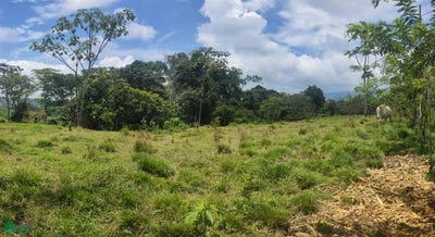 /international/cr/alto-varas-turrialba-turrialba-cartago-turrialba-cartago-province-310107916639/