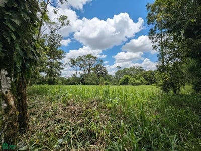 /international/cr/calle-el-poder-penas-blancas-san-ramon-alajuela-san-ramon-alajuela-province-310103099026/