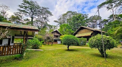 /international/cr/id-4184-four-house-property-near-cahuita-3km-from-the-beach-puerto-viejo-limon-province-310108526620/