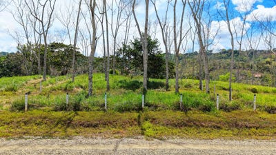 /international/cr/santa-rosa-perez-zeledon-costa-rica-perez-zeledon-san-jose-perez-zeledon-san-jose-310107534072/
