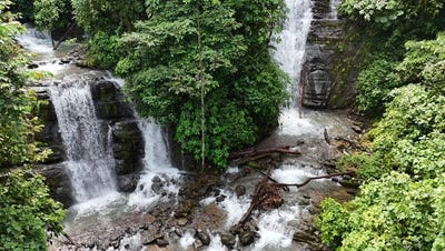 /international/cr/unnamed-road-savegre-de-aguirre-puntarenas-province-310101079602/?lang=zh-cn