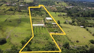/international/cr/se-vende-lote-agricola-en-cajon-perez-zeledon-mountain-home-construction-site-for-sale-in-cajon-cajon-san-jose-310101373989/?lang=pt