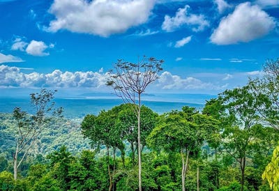 /international/cr/tres-rios-puntarenas-puntarenas-310107945903/