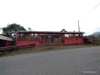 /international/cr/platanillo-turrialba-turrialba-cartago-turrialba-cartago-province-310105831341/