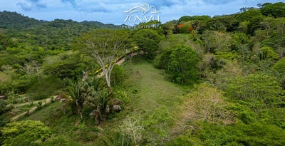 /international/cr/cabuya-cobano-puntarenas-310108286739/