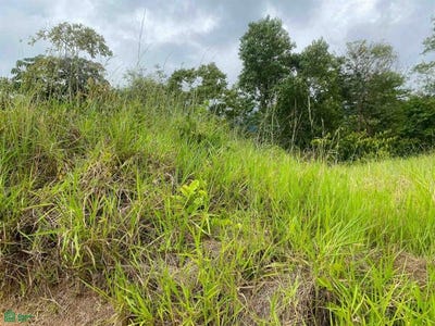 /international/cr/affordable-lot-established-gated-community-chontales-puerto-cortes-osa-puntarenas-osa-puntarenas-310104595655/
