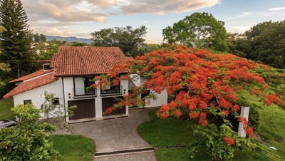 /international/cr/los-reyes-guacima-alajuela-province-310108307941/
