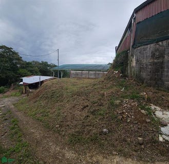 /international/cr/cedral-ciudad-quesada-san-carlos-alajuela-san-carlos-alajuela-province-310108290692/