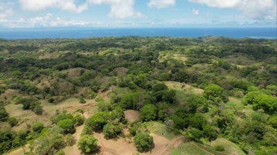 /international/cr/santa-teresa-beach-puntarenas-province-puntarenas-province-310099411254/?lang=zh-tw