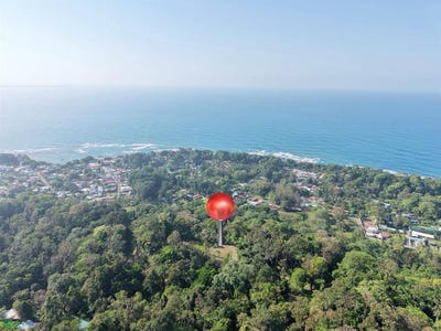 /international/cr/calle-219-cahuita-limon-310107863048/