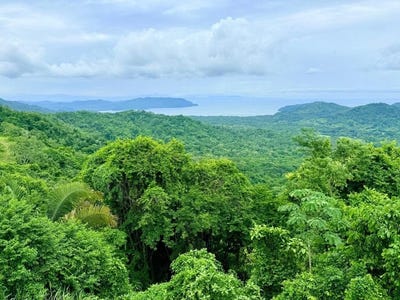 /international/cr/tambor-hills-350-000-usd-terraza-vista-de-la-baha-5-acre-titled-ocean-view-land-million-dollar-views-exceptional-upside-tambor-puntarenas-310105806145/