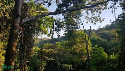 /international/cr/building-lot-in-manuel-antonio-villa-liro-quepos-puntarenas-310107757466/