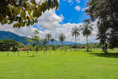 /international/cr/puntarenas-osa-palmar-sur-costa-rica-palmar-puntarenas-palmar-puntarenas-310102704847/