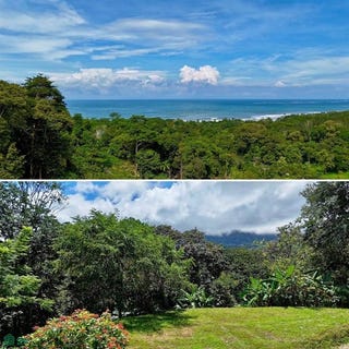 /international/cr/barrio-la-colonia-s-n-bahia-ballena-osa-puntarenas-osa-puntarenas-310098678464/?lang=en
