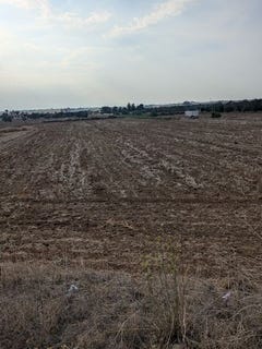 /international/cy/akaki-nicosia-310101567211/
