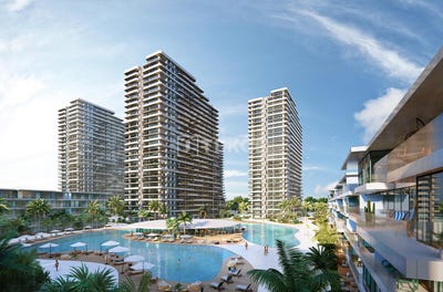 /international/cy/spathariko-famagusta-310104619576/