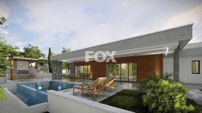 /international/cy/foinikaria-limassol-310102874488/