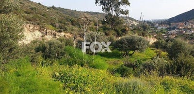 /international/cy/kalavasos-larnaca-310105949057/