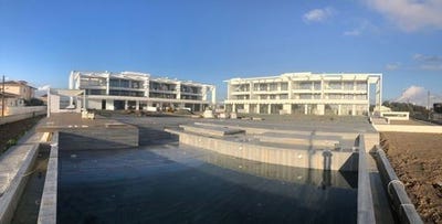 /international/cy/larnax-larnaca-120091886866/