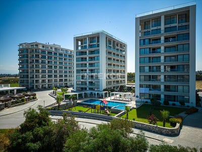 /international/cy/kazivera-nicosia-310104894943/