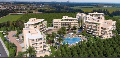 /international/cy/tserkezoi-limassol-310099470086/
