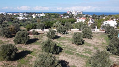 /international/cy/girne-ozankoy-north-cyprus-north-cyprus-310094918828/