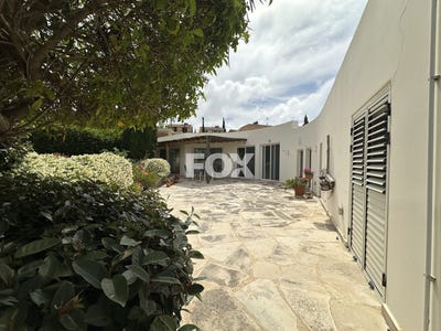 /international/cy/chlorakas-paphos-310108292516/