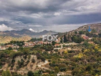 /international/cy/trimiklini-limassol-310106484024/