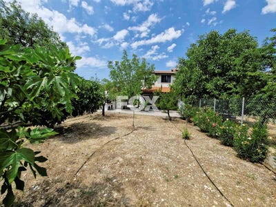 /international/cy/mandria-limassol-120093596815/