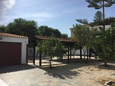 /international/cy/larnax-larnaca-120015820761/
