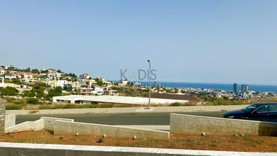/international/cy/agiou-dionusiou-germasogeia-paniotis-area-limassol-limassol-310100827121/?lang=zh-tw