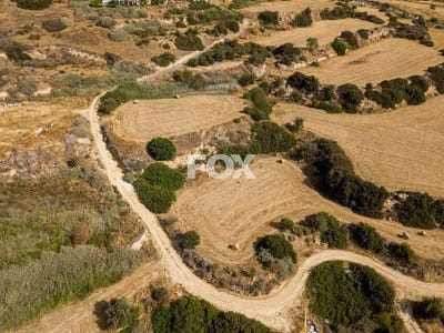 /international/cy/pissouri-limassol-310101155178/?lang=pt