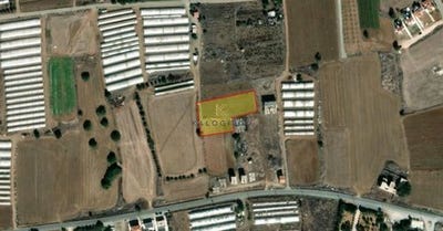 /international/cy/maroni-larnaca-larnaca-larnaca-310106996262/