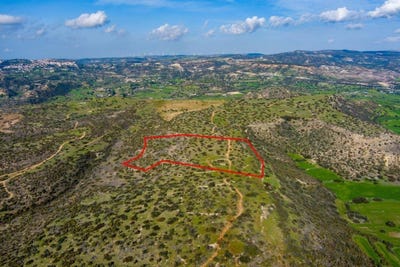 /international/cy/pissouri-limassol-120092797851/