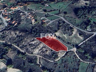 /international/cy/mandria-limassol-310106129900/