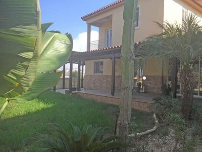 /international/cy/larnax-larnaca-120015808263/