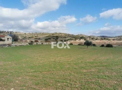 /international/cy/pissouri-limassol-310105948829/