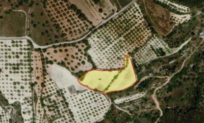 /international/cy/mesa-chorio-paphos-120092675509/?lang=zh-tw