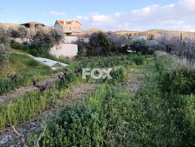 /international/cy/doros-limassol-310105948621/