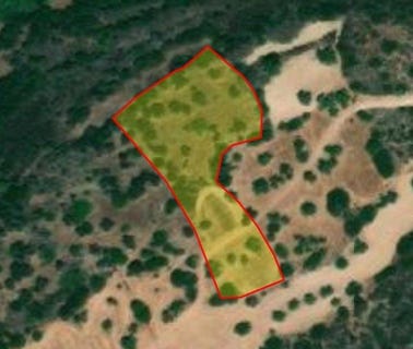 /international/cy/neo-chorio-paphos-120092796991/