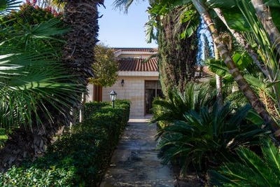 /international/cy/larnax-larnaca-310102991385/