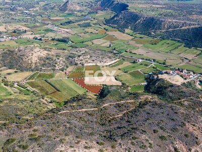 /international/cy/pissouri-limassol-310106129759/